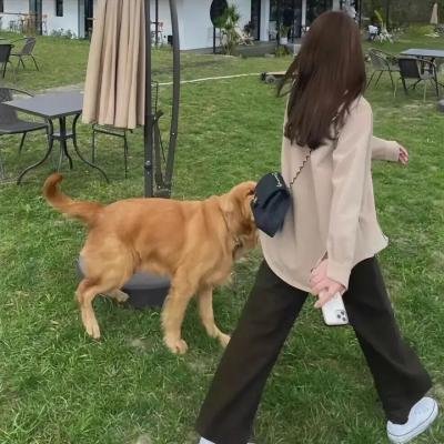 当婆婆遇上妈